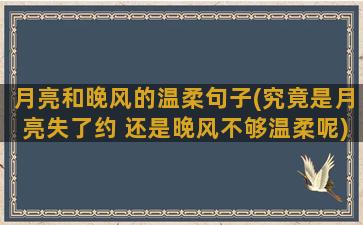 月亮和晚风的温柔句子(究竟是月亮失了约 还是晚风不够温柔呢)